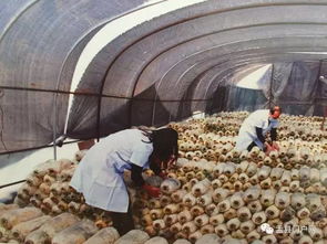 万众瞩目 带您走进盂县重点工程项目现场