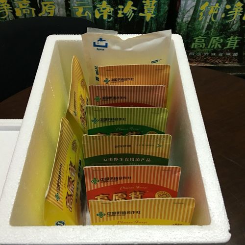 高原茸 舌尖上的自然馈赠，高原食用菌品鉴指南