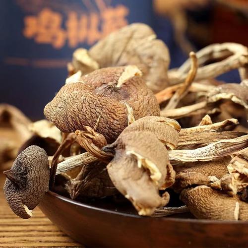 云南特产白鸡枞批发指南 白落伞、白露伞、白鹅蛋菌产地与食用菌市场解析